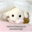 מדבקה