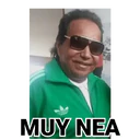 Pelekat
