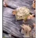 Figurinha