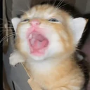 Stika