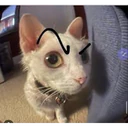 Stika