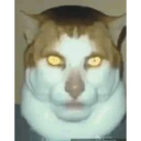 Stika
