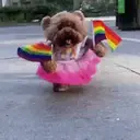 Стикер