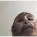 ਸਟਿਕਰ