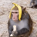 ਸਟਿਕਰ