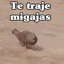 Ngjitës