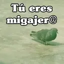 Ngjitës