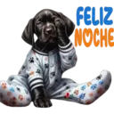 Figurinha