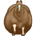 Stika
