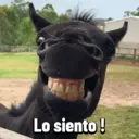 贴纸