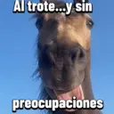 贴纸