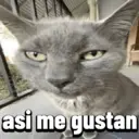 Çıkartma