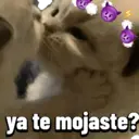 Çıkartma