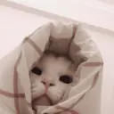 ملصق