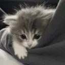 ملصق