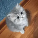 ملصق