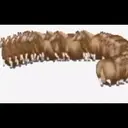 贴纸