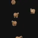贴纸