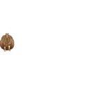 贴纸