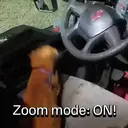 Stika