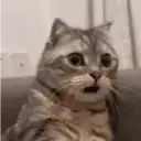 Çıkartma