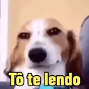 스티커