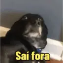 Figurinha