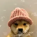 Figurinha