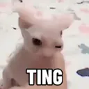 Çıkartma