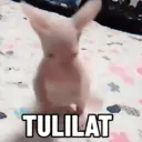 Çıkartma