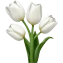 স্টিকার