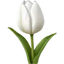 স্টিকার