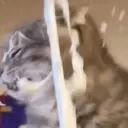 Стикер