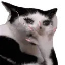 Stika