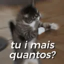 Autocolant
