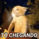 Figurinha