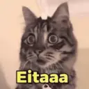 Figurinha