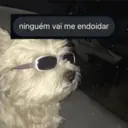 ملصق