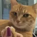 Çıkartma