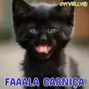 Figurinha