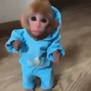 Figurinha