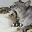 Autocolant