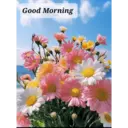 استیکر