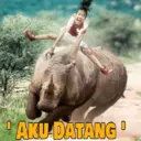 Stiker