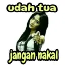 Stiker