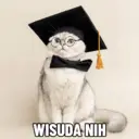 ਸਟਿਕਰ