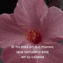 ملصق