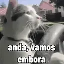 Figurinha