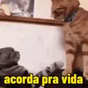 Figurinha