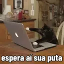 Figurinha